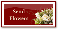 Send sympathy flowers